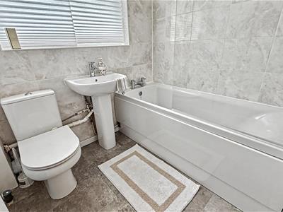 Picture 15
